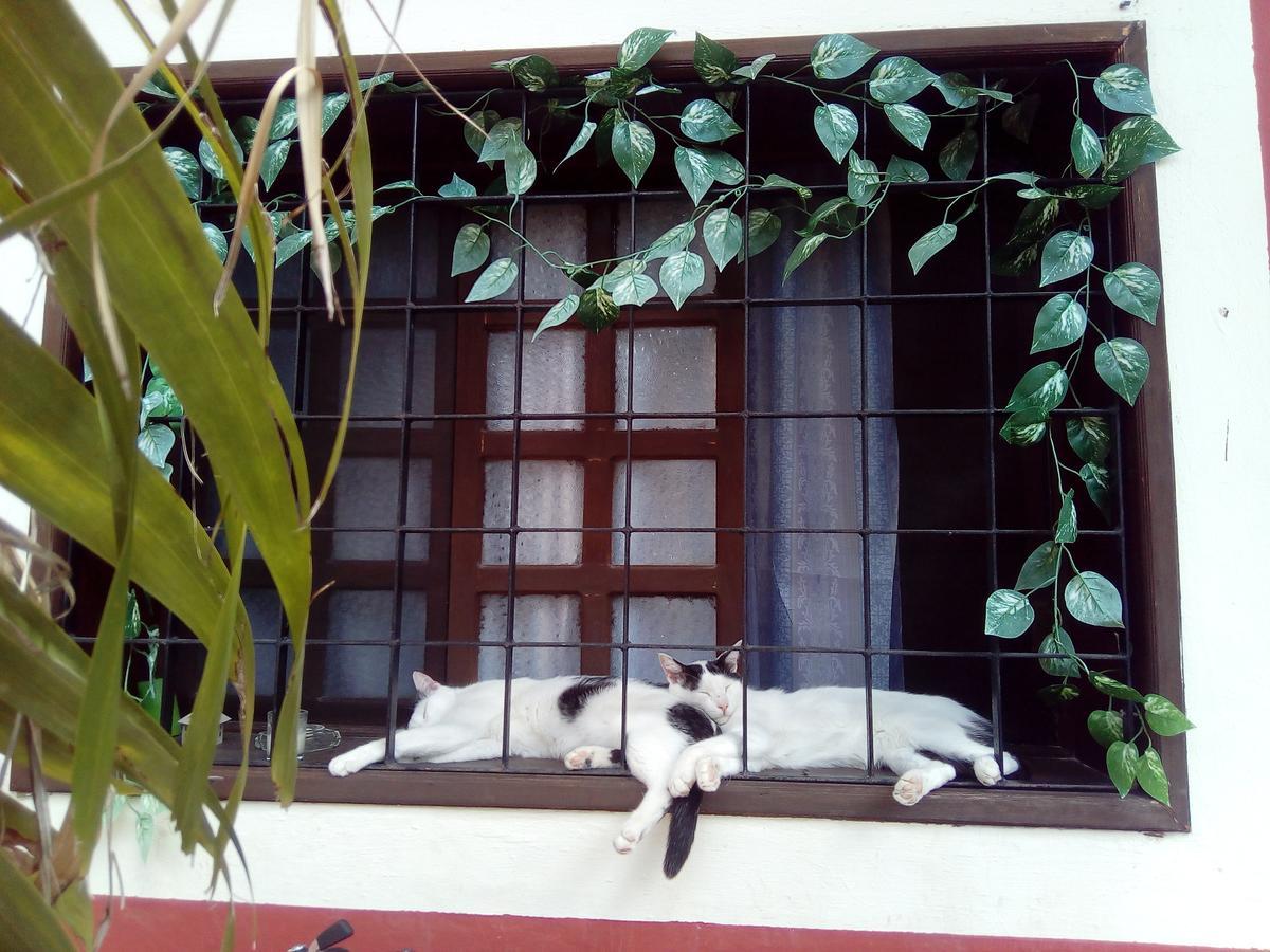 Casa Mazejuwi Hotell Campeche Exteriör bild